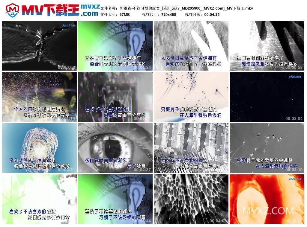 陈雅森-不该习惯的寂寞_国语_流行_MD205906